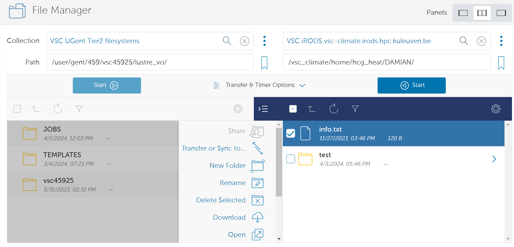 Globus Interface